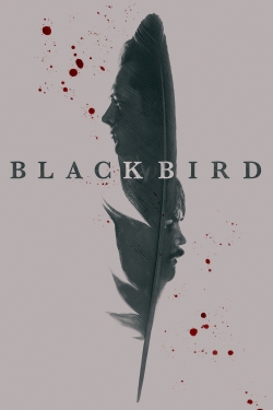 Black Bird Black Bird